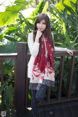 《金花瓶楷梅花2》